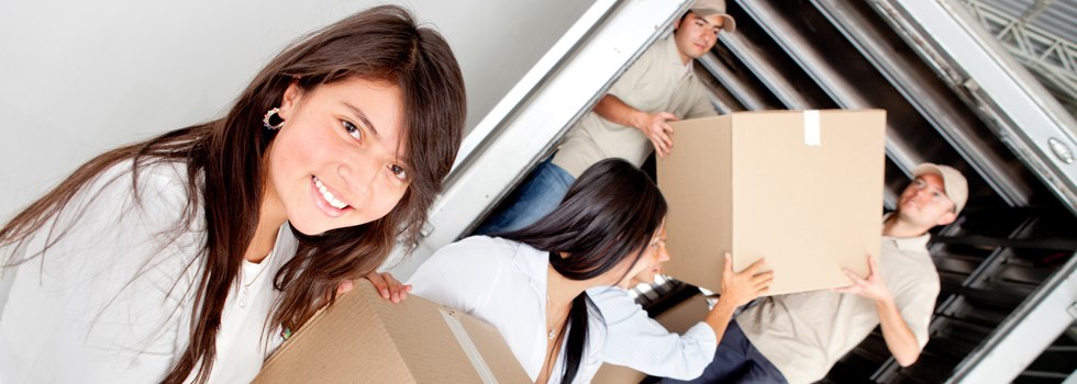 Professional Removalists Lenaghan